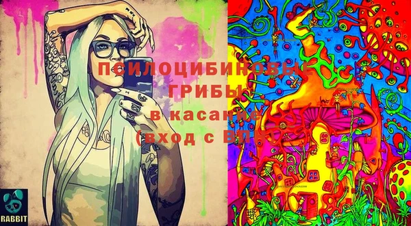 прущие крисы Алексин