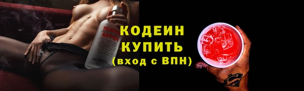 амф Алзамай