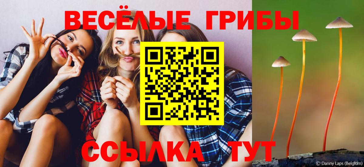 Галлюциногенные грибы Psilocybine cubensis Воткинск